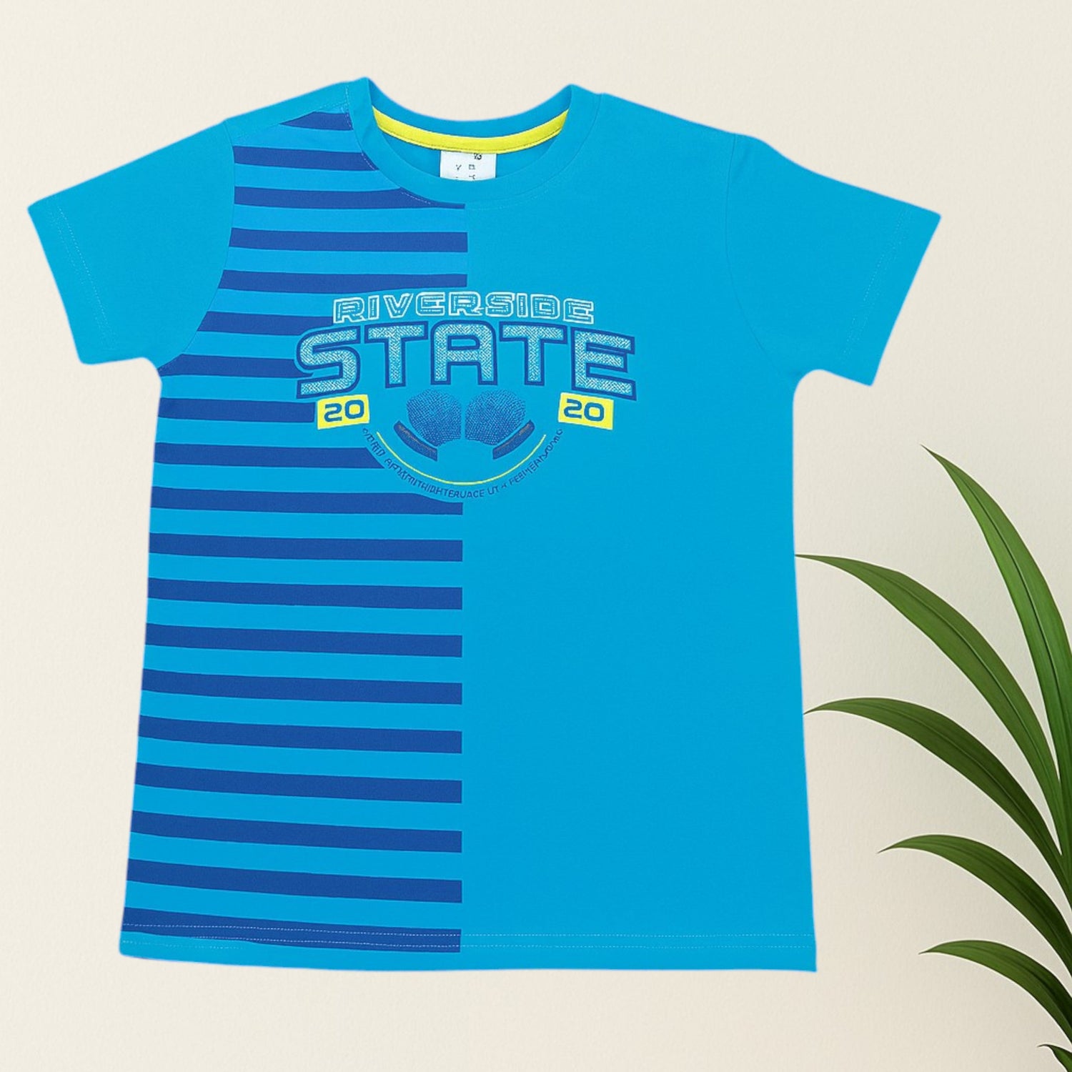 Boys T-shirt