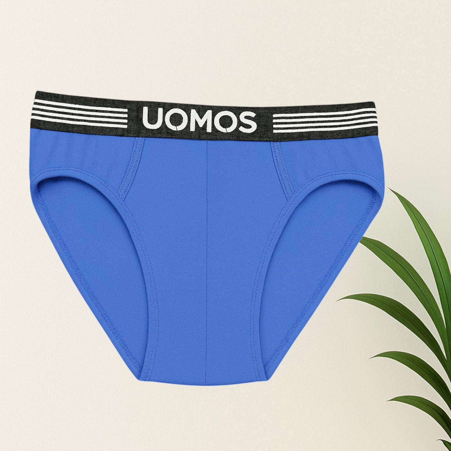 Men brief's