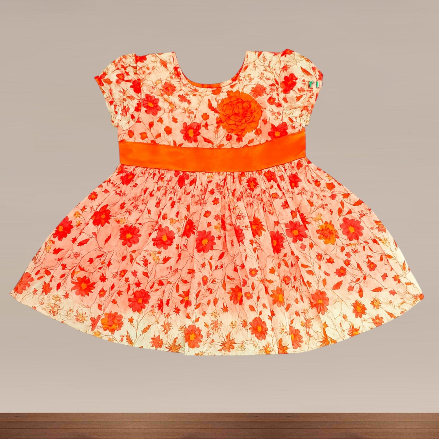 Baby Girl Fancy Frock
