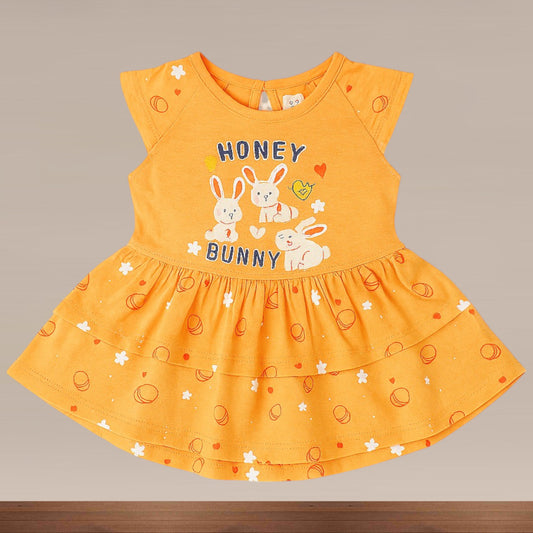 Baby Girl Fancy Frock