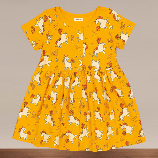 Baby Girl Fancy Frock