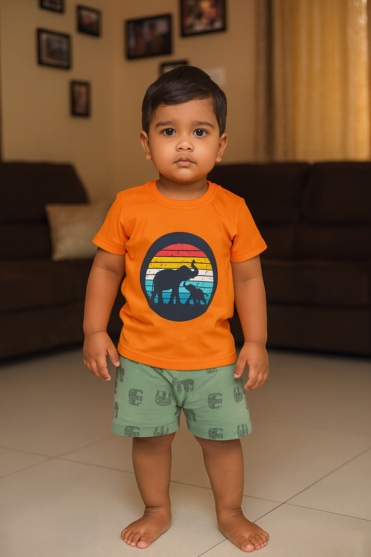 Premium Boy Baby Shorts Set - 220